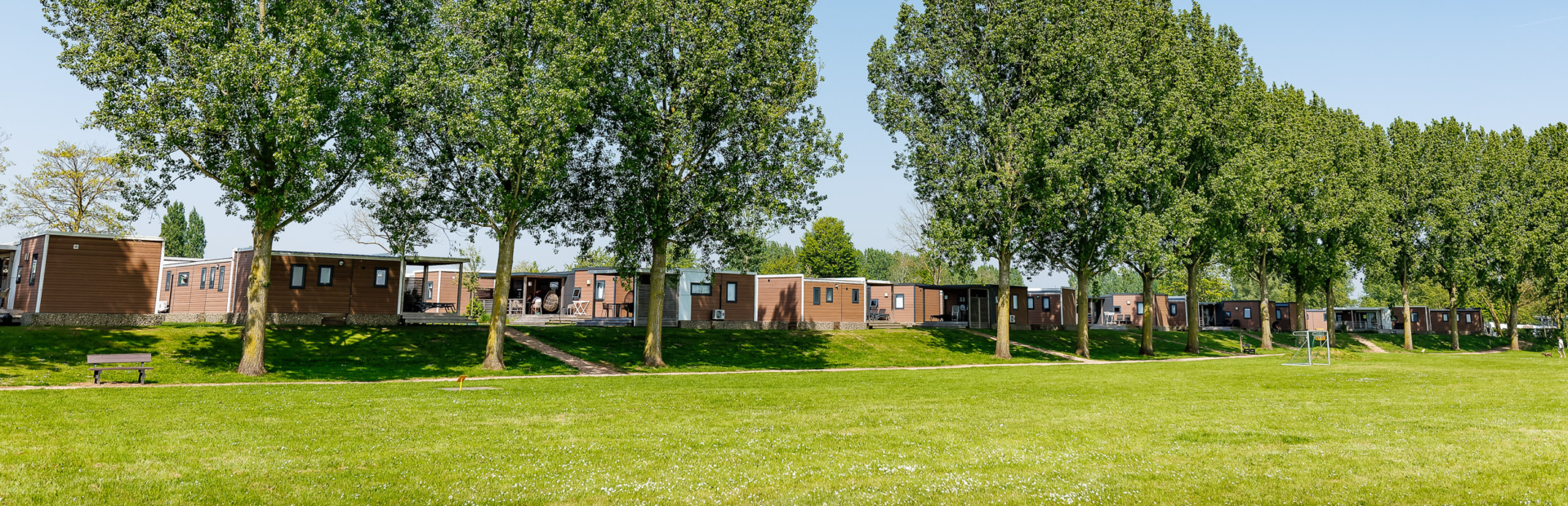 20240501 The Arrows E Ilandvan Maurik MH 35964 CR3 PURE