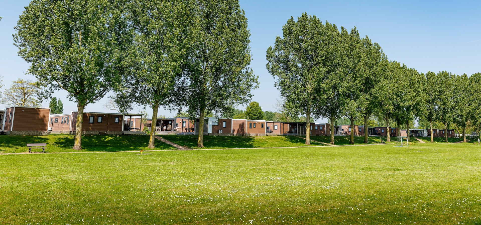 20240501 The Arrows E Ilandvan Maurik MH 35964 CR3 PURE