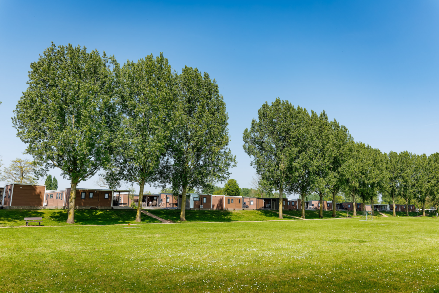 De Utrechtse Heuvelrug is de ideale plek om op vakantie te gaan