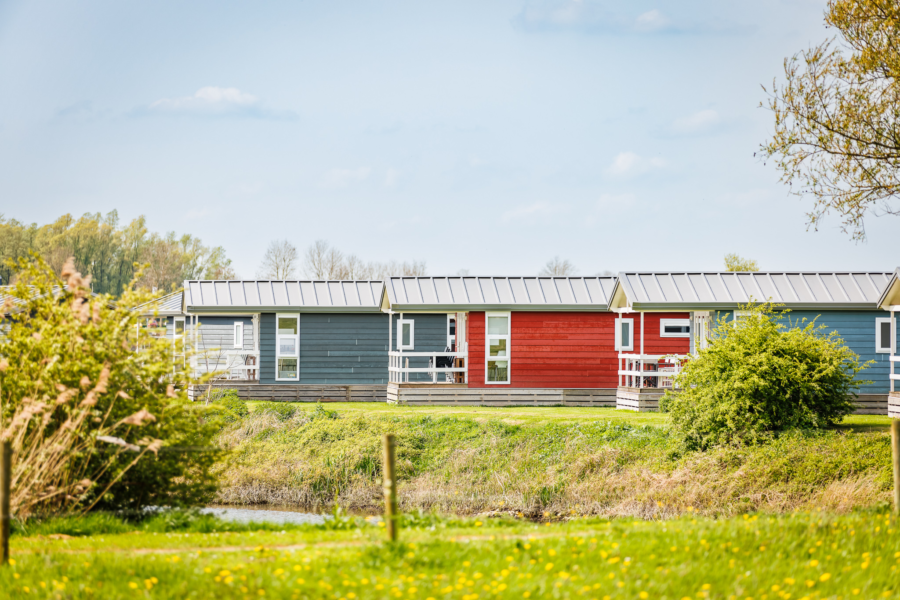 20240413 The Arrows Eilandvan Maurik MH 50505 CR3 PURE