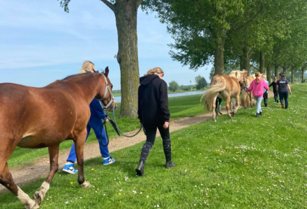 Pony's zijn met pensioen