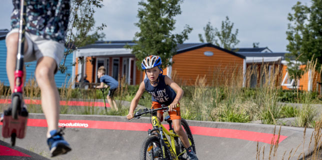 BMX freestyle fiets