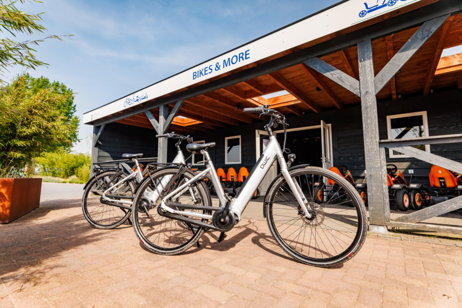 20240501 The Arrows E Ilandvan Maurik MH 36417 CR3 PURE