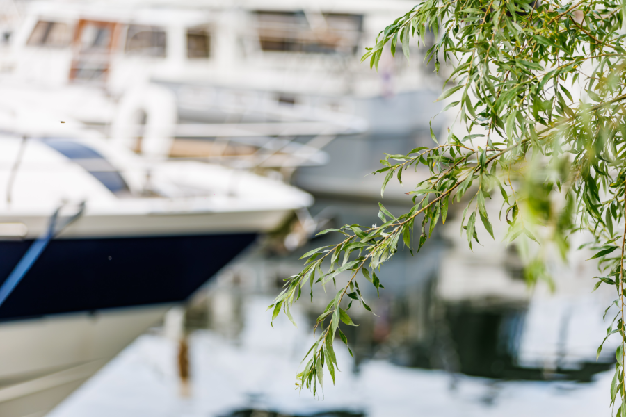 2708 094244 Martin Hols MH 39671 CR3