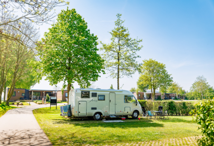 Ruime camperplaats op de Rozenwiel bij Vakantiepark Eiland van Maurik