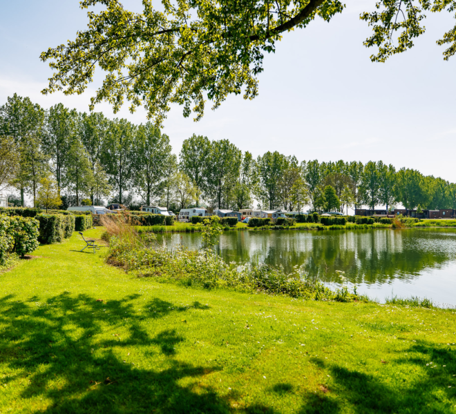 Groene kampeerplaatsen op de Rozenwiel aan het water