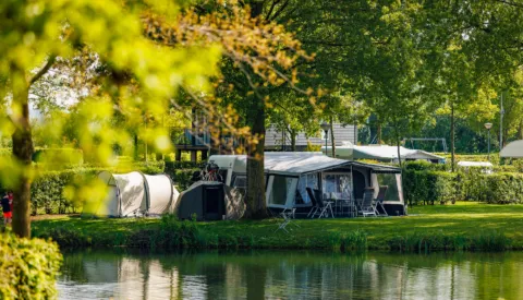 20240501 The Arrows E Ilandvan Maurik MH 57374 CR3 PURE