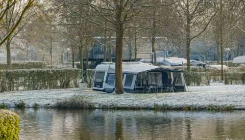 Rozenwielwinter kampeer ai