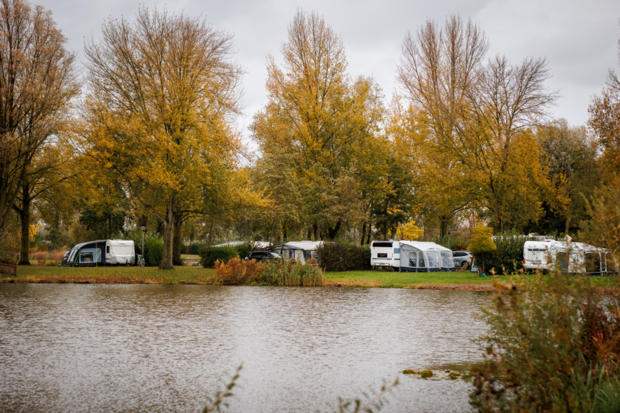 20251023 Ewald Geerdink Maurik 0086 1 B8 A1416 CR3