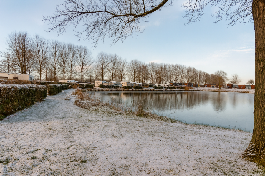 Rozenwielwinter kampeer3 ai