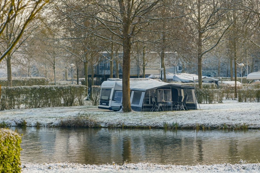 Rozenwielwinter kampeer ai
