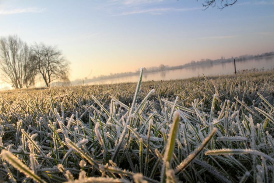 Image00067