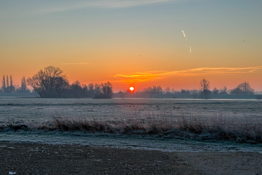 Image00096