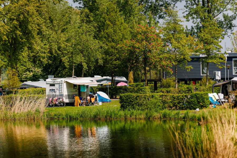 20240501 The Arrows E Ilandvan Maurik MH 57314 CR3 PURE