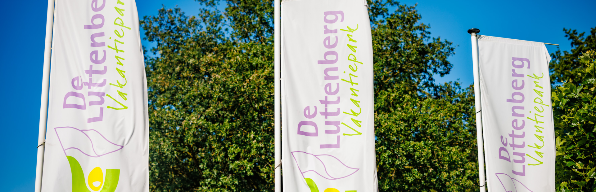 20240808 101849 The Arrows Vakantiepark Luttenberg MH 56142 CR3