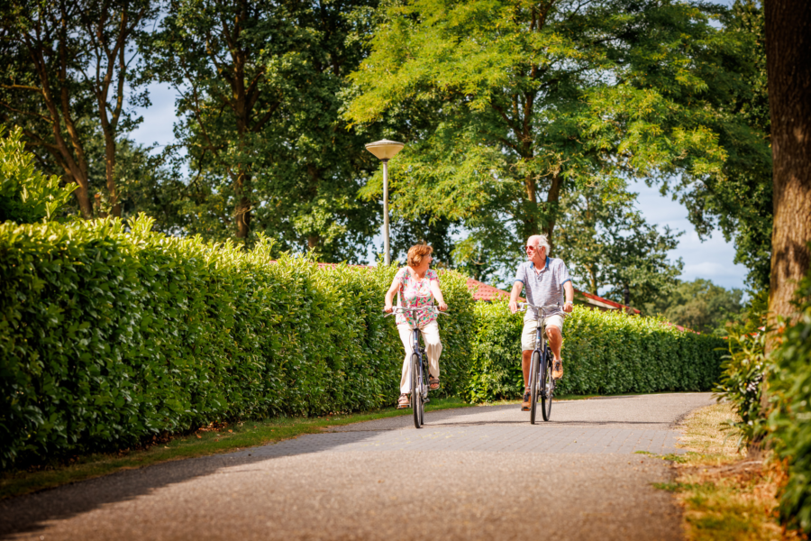 Huur een elektrische fiets op Vakantiepark de Luttenberg