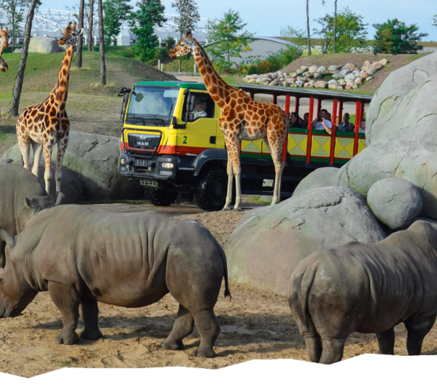 Dierenpark Wildlands in de buurt van Luttenberg