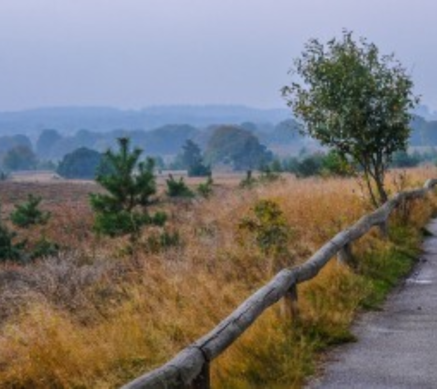 Holterberg sallandse heuvelrug uitkijkpunt