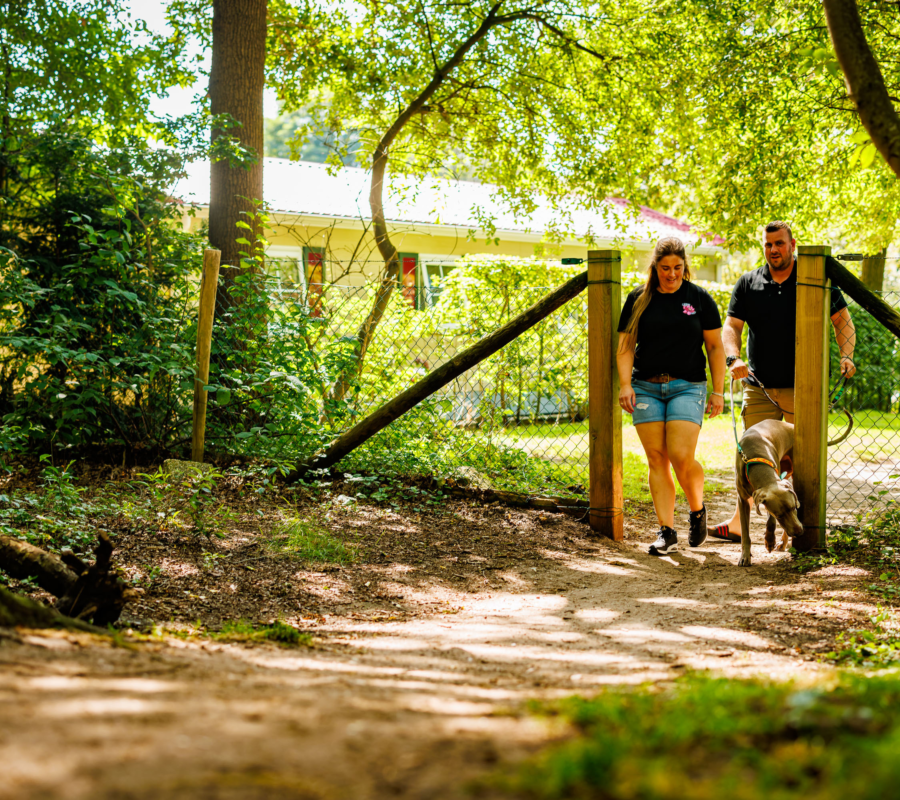 Stel maakt een natuurwandeling in de buurt van Almelo