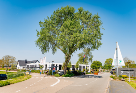 Vakantiepark in de betuwe, kom tot rust in de prachtige omgeving