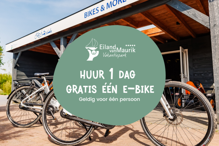 Ev M Bike More Voucher NL